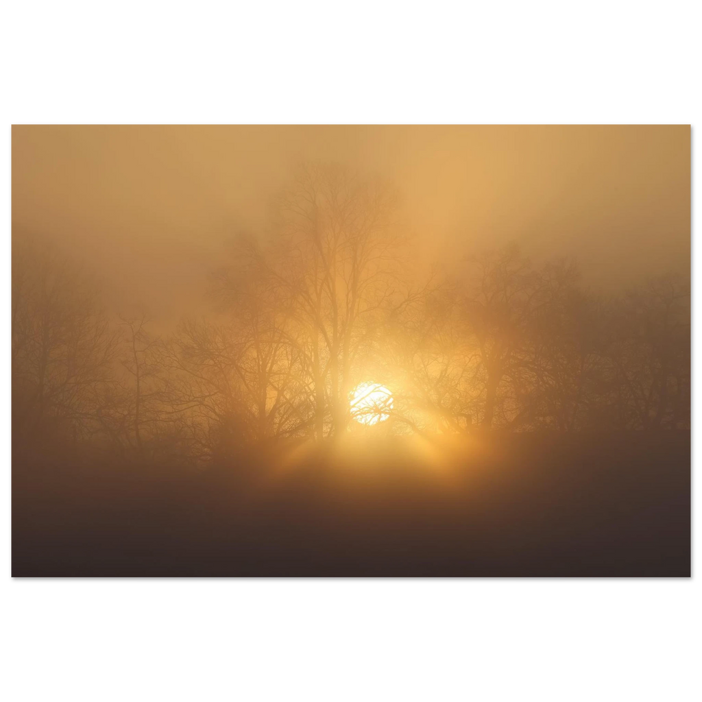 Sonnenaufgang im dichten Morgennebel bei Uffing am Staffelsee, goldenes Licht scheint geheimnisvoll durch kahle Bäume und taucht die Landschaft in eine mystische Stimmung.
