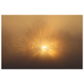 Sonnenaufgang im dichten Morgennebel bei Uffing am Staffelsee, goldenes Licht scheint geheimnisvoll durch kahle Bäume und taucht die Landschaft in eine mystische Stimmung.
