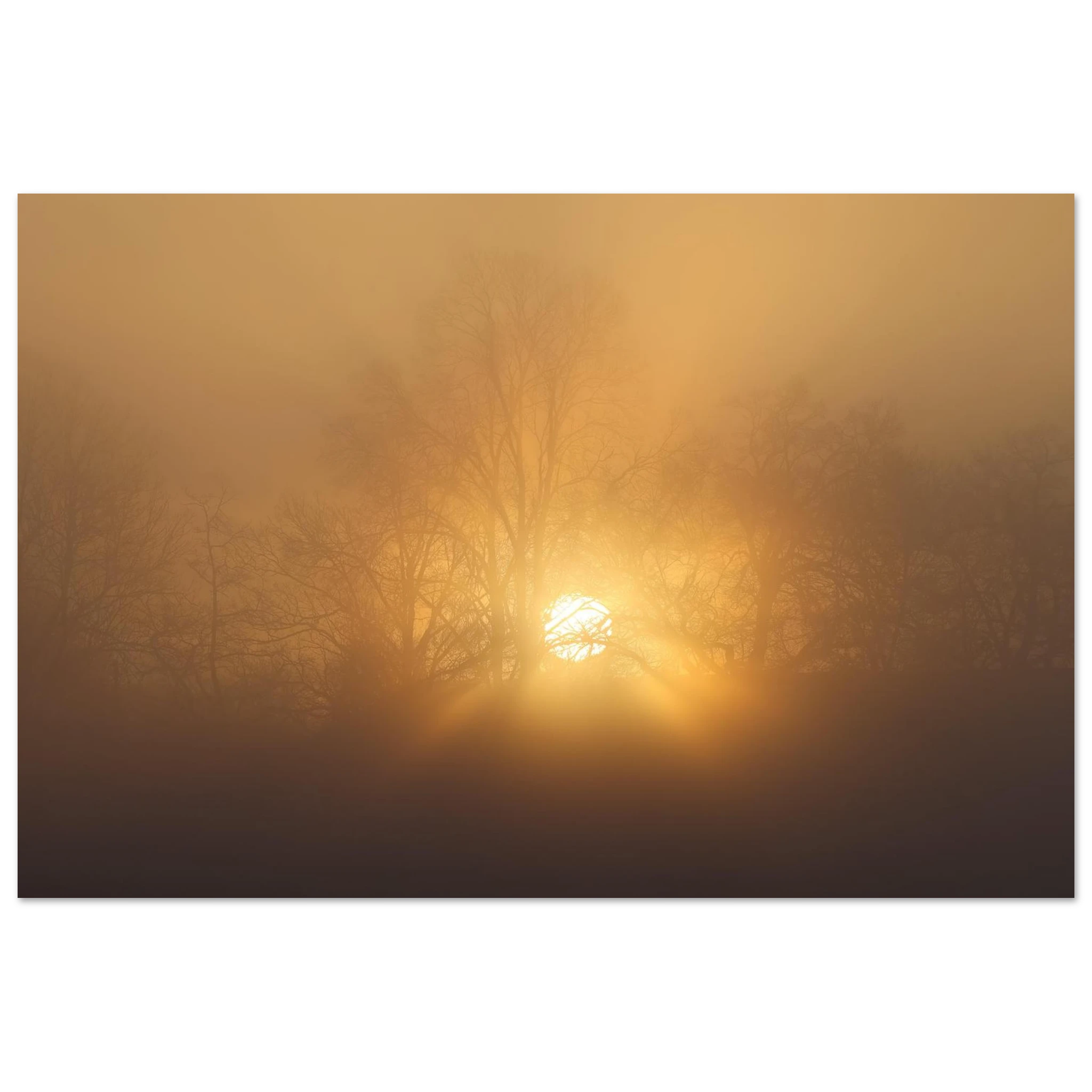 Sonnenaufgang im dichten Morgennebel bei Uffing am Staffelsee, goldenes Licht scheint geheimnisvoll durch kahle Bäume und taucht die Landschaft in eine mystische Stimmung.
