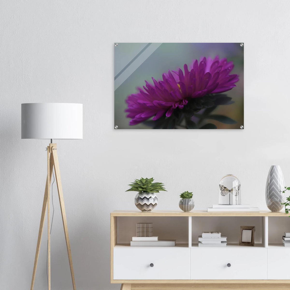 Acrylglasbild mit einer leuchtend violetten Aster in detailreicher Nahaufnahme. Die filigranen Blütenblätter heben sich vor einem sanft verschwommenen Hintergrund ab. Die ausdrucksstarke Makrofotografie setzt einen eleganten, natürlichen Farbakzent in modernen Wohnräumen.