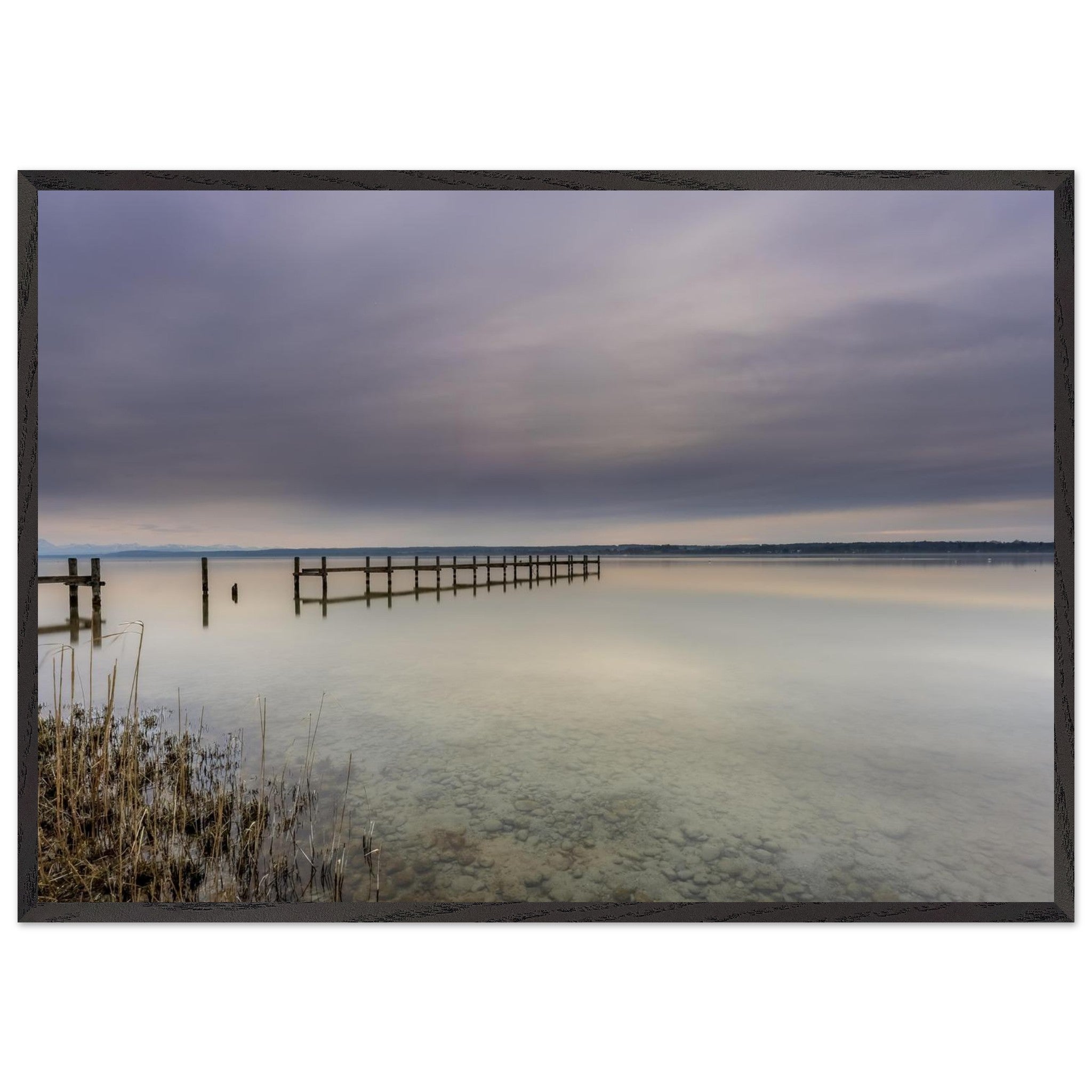 Ammersee Premium Matt Poster mit schwarzem Holzrahmen. Die Fotografie zeigt einen ruhigen Steg, der weit in das spiegelglatte Wasser des Ammersees hinausführt. Zarte Grau-, Blau- und Cremetöne prägen den bewölkten Himmel und spiegeln sich sanft auf der Wasseroberfläche. Im Vordergrund sind Schilf und die klaren Kieselsteine unter dem flachen Wasser sichtbar. Die minimalistische Landschaft vermittelt Stille, Weite und eine entspannte Atmosphäre und wirkt als elegante Wanddekoration in natürlichen Wohnräumen.