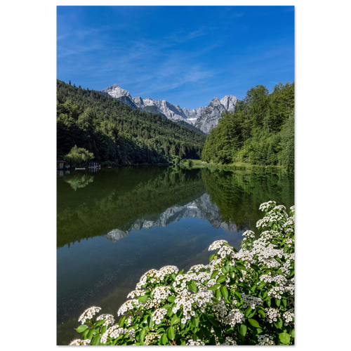 Riessersee bei Garmisch-Partenkirchen an einem klaren Junimorgen. Das ruhige Wasser spiegelt die markanten Gipfel des Wettersteingebirges, umgeben von satten grünen Wäldern. Im Vordergrund blühen weiße Uferblüten, darüber spannt sich ein leuchtend blauer Sommerhimmel. Die harmonische Verbindung aus Berglandschaft, Spiegelung und frischem Grün verleiht dem Motiv eine natürliche, ruhige Ausstrahlung.