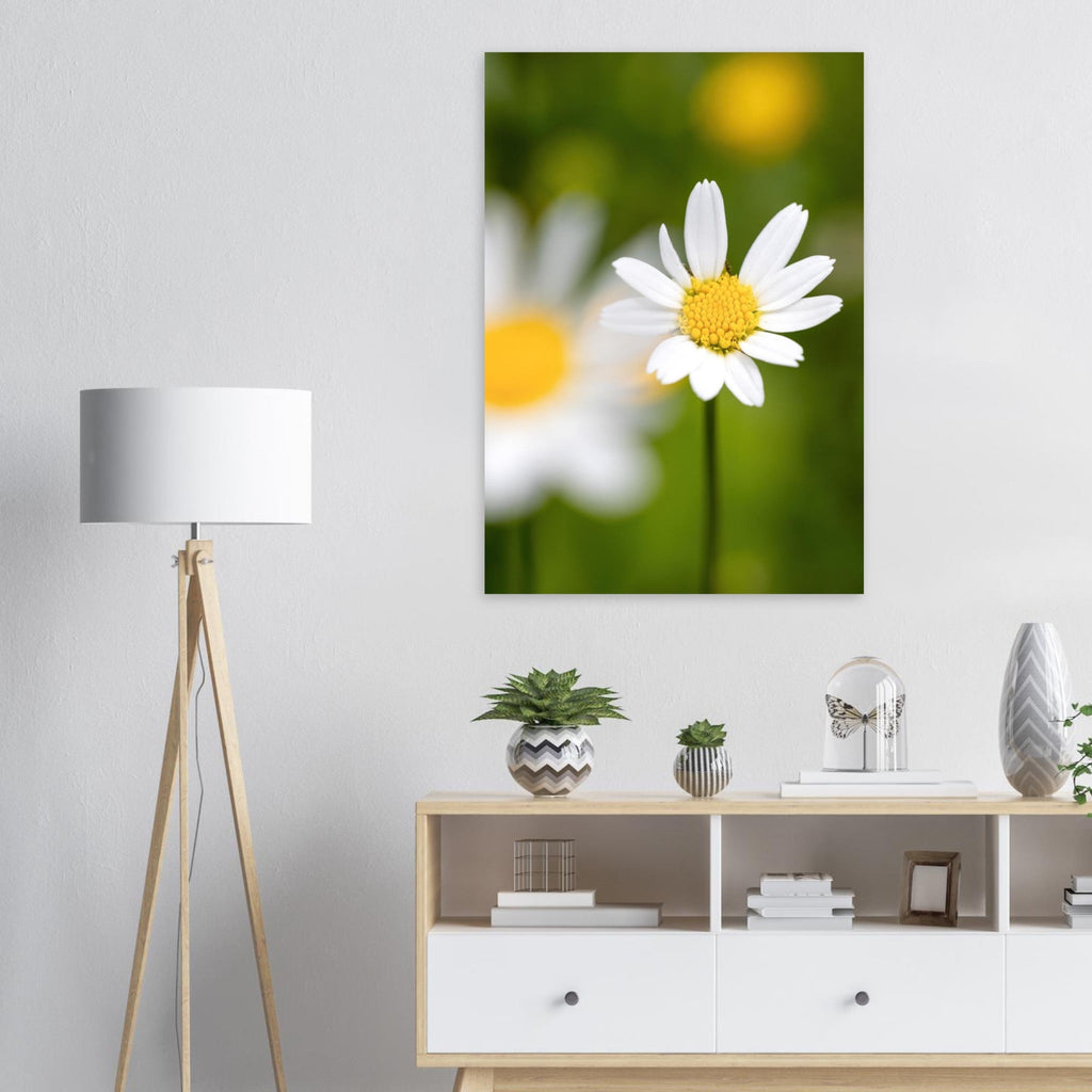 Zarte Margerite mit weichen weißen Blütenblättern vor sanft verschwommenem grünem Hintergrund, aufgenommen als natürliche Fine-Art-Makrofotografie mit ruhiger Frühlingsstimmung.
