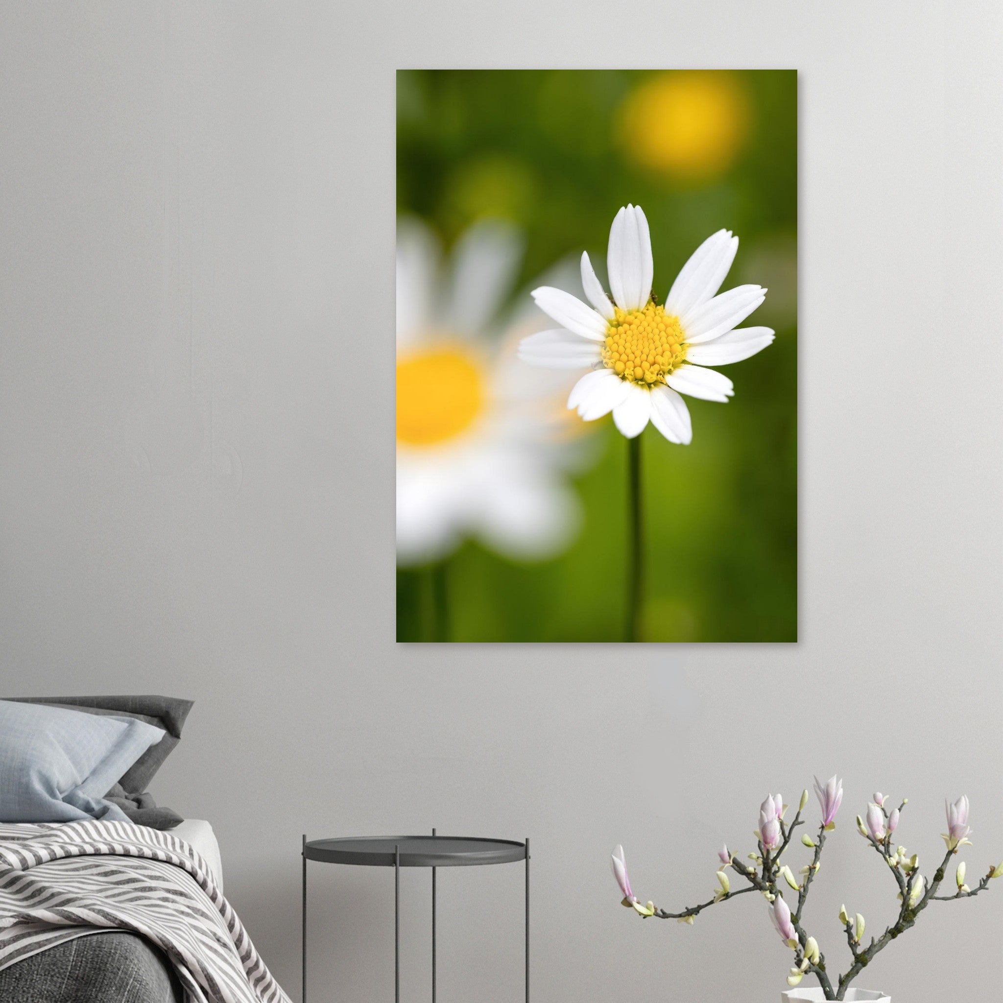 zarte weiße Margerite, natürliche Fine Art Fotografie, grüner unscharfer Hintergrund mit Bokeh