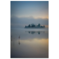 Vertikales Staffelsee Poster mit nebelverhüllter Bauminsel, ruhiger Wasserspiegelung und sanftem Sonnenaufgang in Oberbayern.