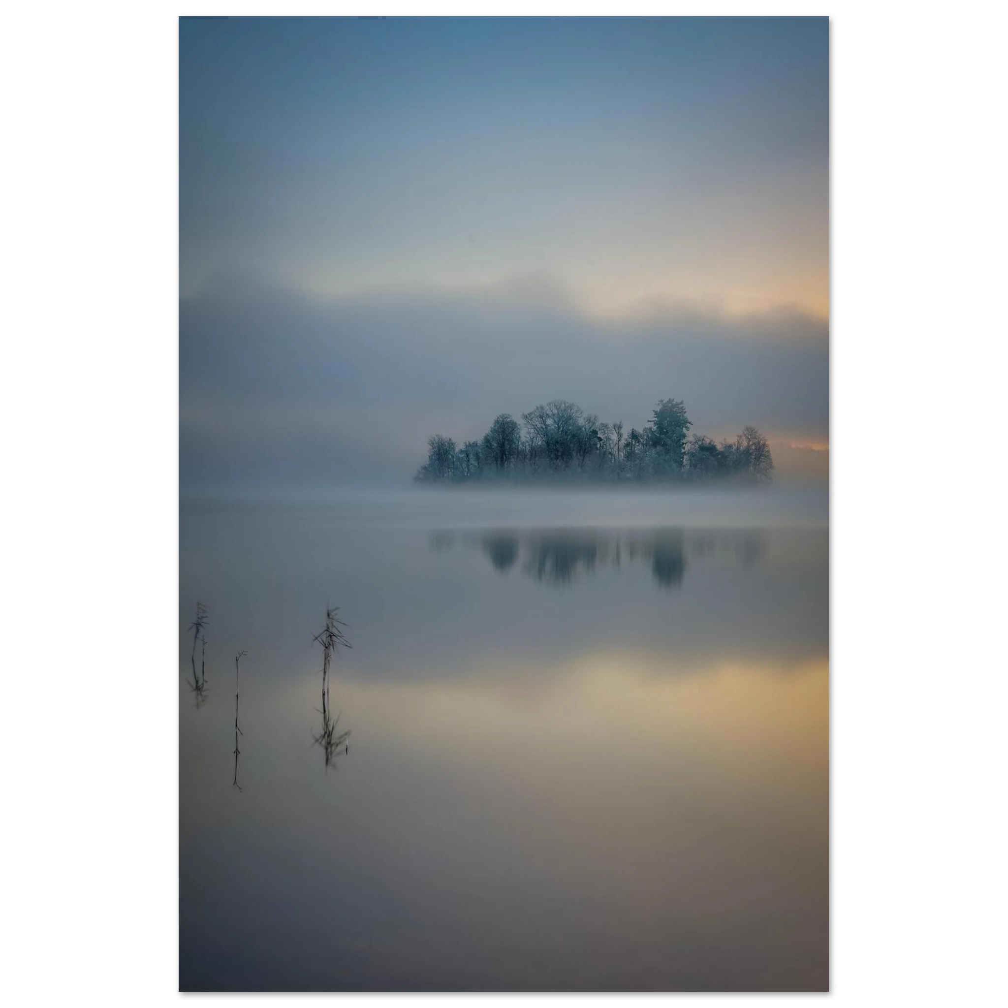 Vertikales Staffelsee Poster mit nebelverhüllter Bauminsel, ruhiger Wasserspiegelung und sanftem Sonnenaufgang in Oberbayern.