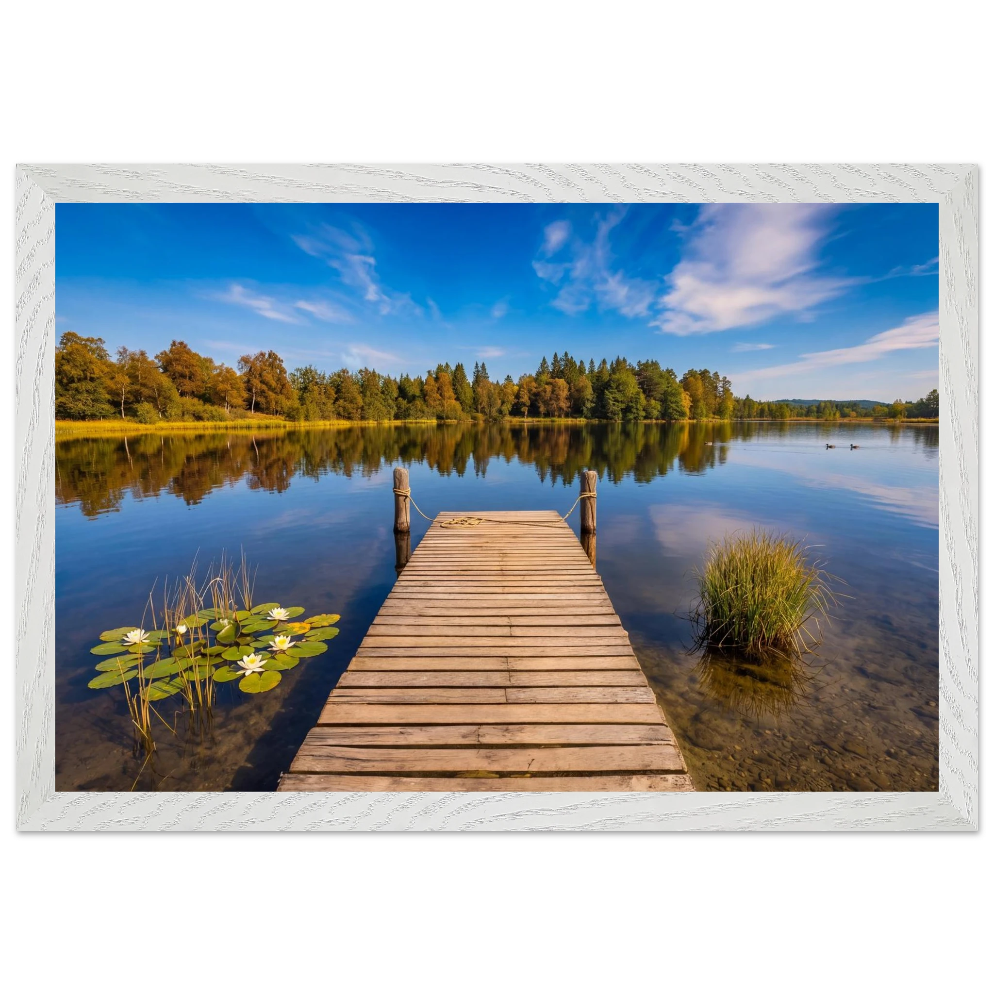 Hölzerner Steg an einem ruhigen Waldsee in Oberbayern während des Spätsommers. Weiße Seerosen und Schilf wachsen am klaren Uferwasser, während sich die goldenen Farben der Bäume am gegenüberliegenden Seeufer im Wasser spiegeln. Über der stillen Landschaft ziehen zarte Wolken über einen tiefblauen Himmel. Die harmonische Naturkulisse vermittelt Ruhe, Weite und das Gefühl eines friedlichen Tages am See.