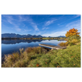 Herbstlicher Hopfensee mit ruhigem, spiegelndem Wasser, Holzsteg und leuchtend goldenem Baum vor der klaren Kulisse der Allgäuer Alpen.
