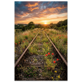 Alte überwucherte Bahngleise führen durch eine blühende Sommerwiese mit rotem Mohn und Wildblumen in einen leuchtenden Sonnenuntergang. Stimmungsvolle Landschaft mit dramatischem Abendhimmel als hochwertiges Wandbild.
