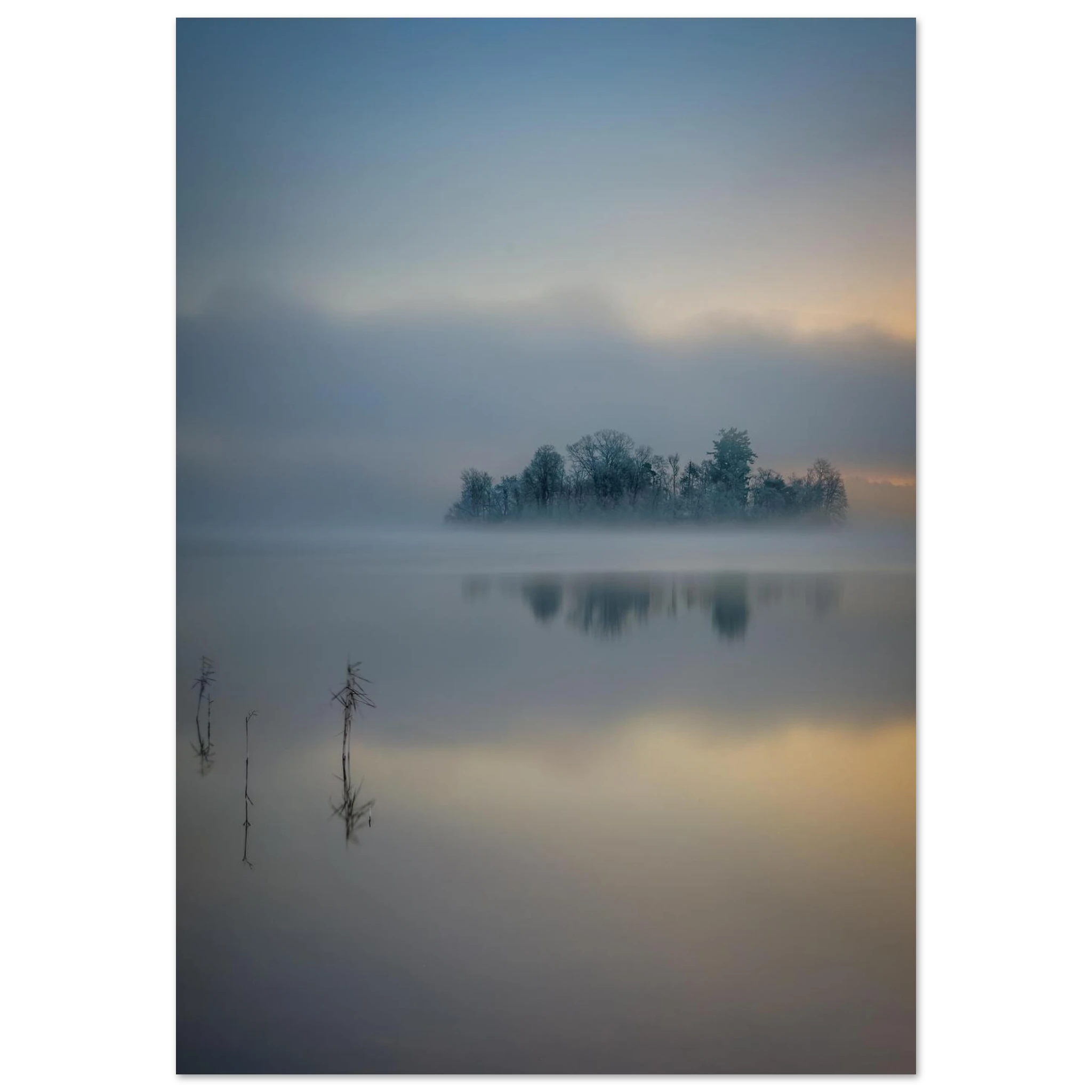 Vertikales Staffelsee Poster mit nebelverhüllter Bauminsel, ruhiger Wasserspiegelung und sanftem Sonnenaufgang in Oberbayern.