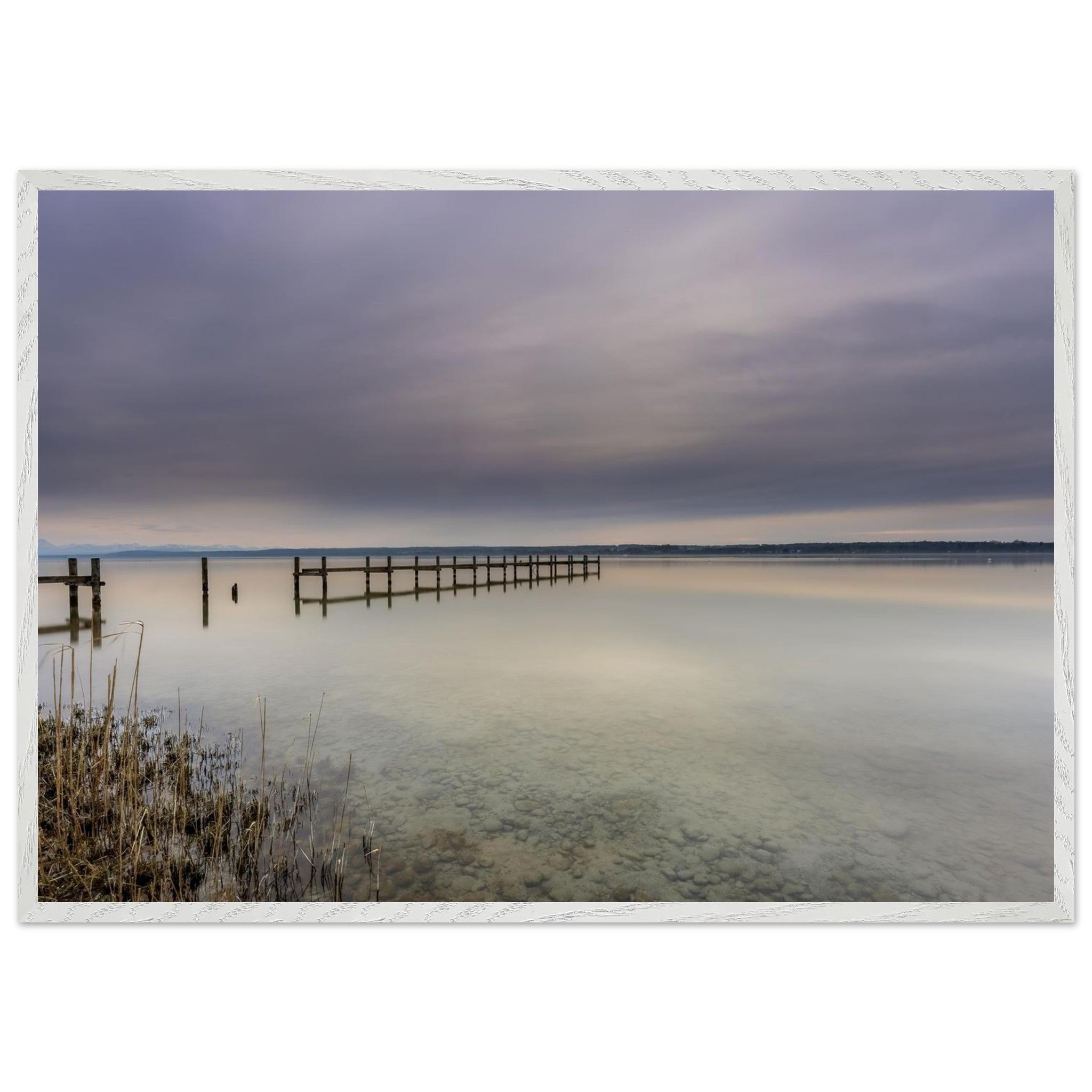 Ammersee Premium Matt Poster mit weißem Holzrahmen. Die Fotografie zeigt einen ruhigen Steg, der weit in das spiegelglatte Wasser des Ammersees hinausführt. Zarte Grau-, Blau- und Cremetöne prägen den bewölkten Himmel und spiegeln sich sanft auf der Wasseroberfläche. Im Vordergrund sind Schilf und die klaren Kieselsteine unter dem flachen Wasser sichtbar. Die minimalistische Landschaft vermittelt Stille, Weite und eine entspannte Atmosphäre und wirkt als elegante Wanddekoration in natürlichen Wohnräumen.