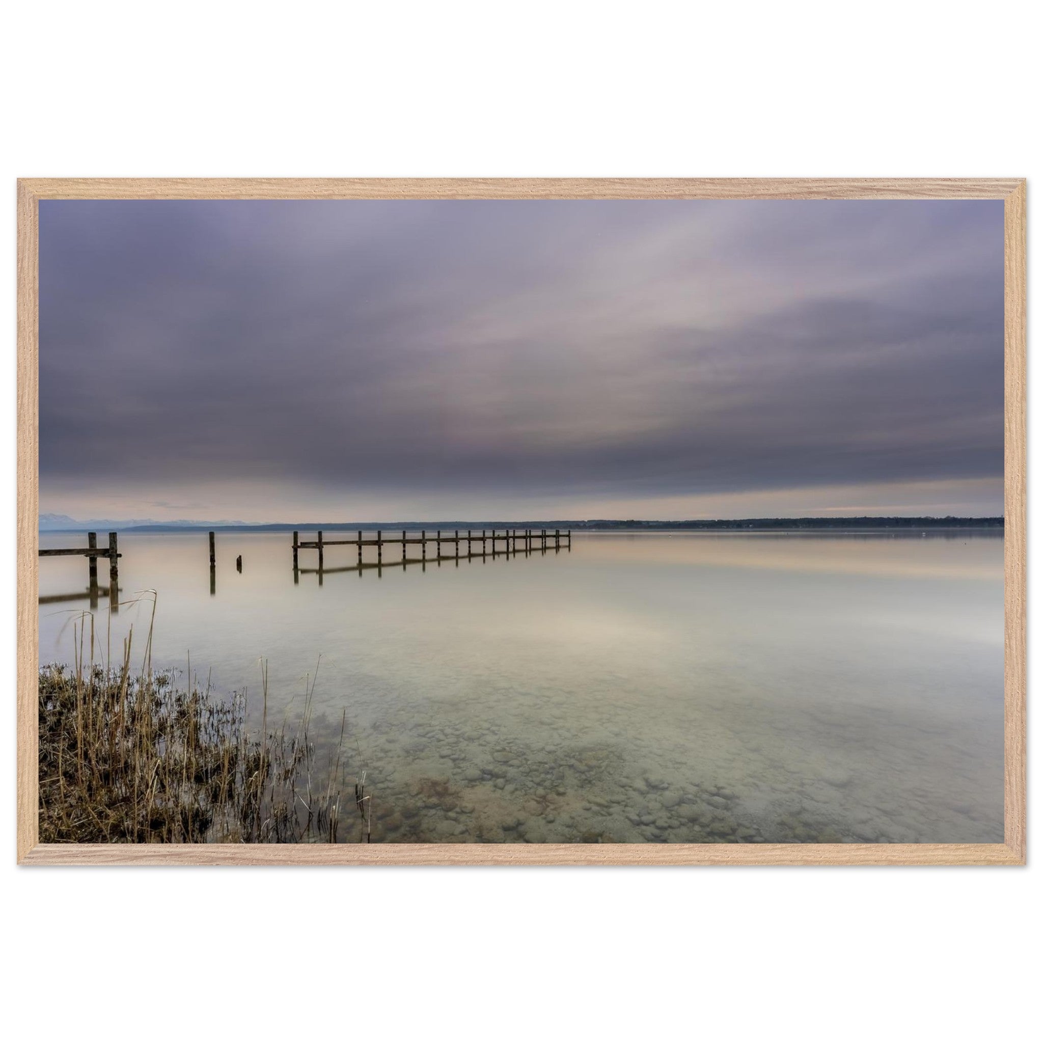 Ammersee Premium Matt Poster mit naturfarbeHolzrahmen. Die Fotografie zeigt einen ruhigen Steg, der weit in das spiegelglatte Wasser des Ammersees hinausführt. Zarte Grau-, Blau- und Cremetöne prägen den bewölkten Himmel und spiegeln sich sanft auf der Wasseroberfläche. Im Vordergrund sind Schilf und die klaren Kieselsteine unter dem flachen Wasser sichtbar. Die minimalistische Landschaft vermittelt Stille, Weite und eine entspannte Atmosphäre und wirkt als elegante Wanddekoration in natürlichen Wohnräumen.