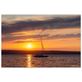 Premium Matt Poster „Ammersee Sonnenuntergang“ von Christina Bauer Photos. Ein einzelnes Segelboot liegt ruhig auf dem Wasser des Ammersees, während die untergehende Sonne den Himmel in warme Orange-, Gold- und sanfte Violetttöne taucht. Das Licht spiegelt sich auf der Wasseroberfläche und schafft eine ruhige, stimmungsvolle Atmosphäre voller Weite, Sommergefühl und natürlicher Eleganz.
