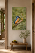 Eisvogel mit leuchtend blauem und orangefarbenem Gefieder auf einem moosbewachsenen Ast. Naturaufnahme mit sanft unscharfem Hintergrund und feinen Gefiederdetails. 