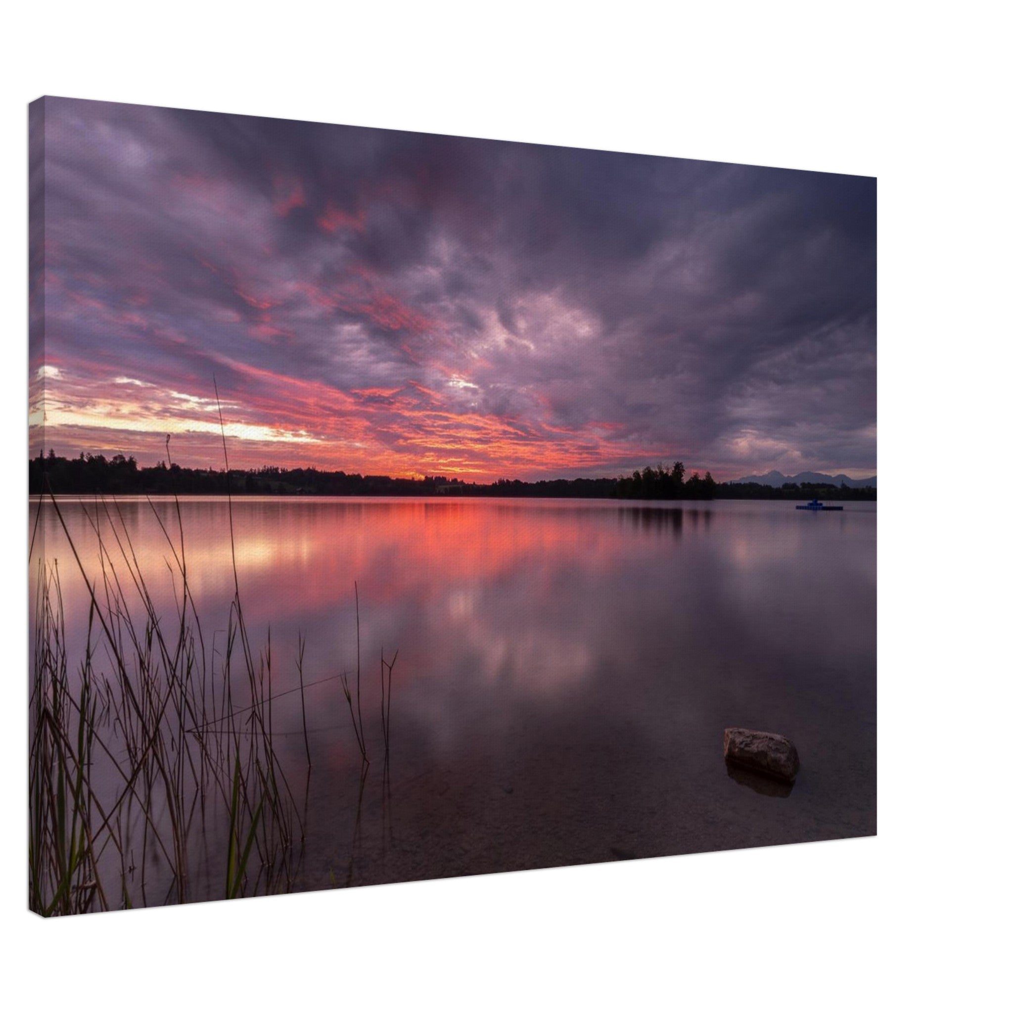 Leinwandbild „Gewitterstimmung am Staffelsee“ mit dramatischem Abendhimmel über dem oberbayerischen See. Dunkle violettgraue Gewitterwolken ziehen über das ruhige Wasser, während am Horizont intensive Rosa-, Orange- und Lilatöne aufleuchten. Die Farben spiegeln sich sanft auf der glatten Wasseroberfläche. Im Vordergrund ragen Schilfhalme und ein einzelner Stein aus dem klaren Wasser. Die stimmungsvolle Langzeitaufnahme vermittelt Ruhe, Weite und die besondere Atmosphäre eines Sommerabends vor einem Gewitter
