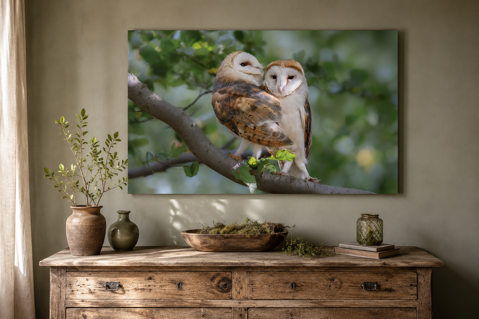 Zwei Schleiereulen auf einem Ast im bayerischen Wald, aufgenommen in natürlicher Umgebung. Seltene Tierfotografie mit weichem Hintergrund, feinen Gefiederdetails und ruhiger Waldstimmung – Naturfotografie aus Bayern. 🤍🦉🌿