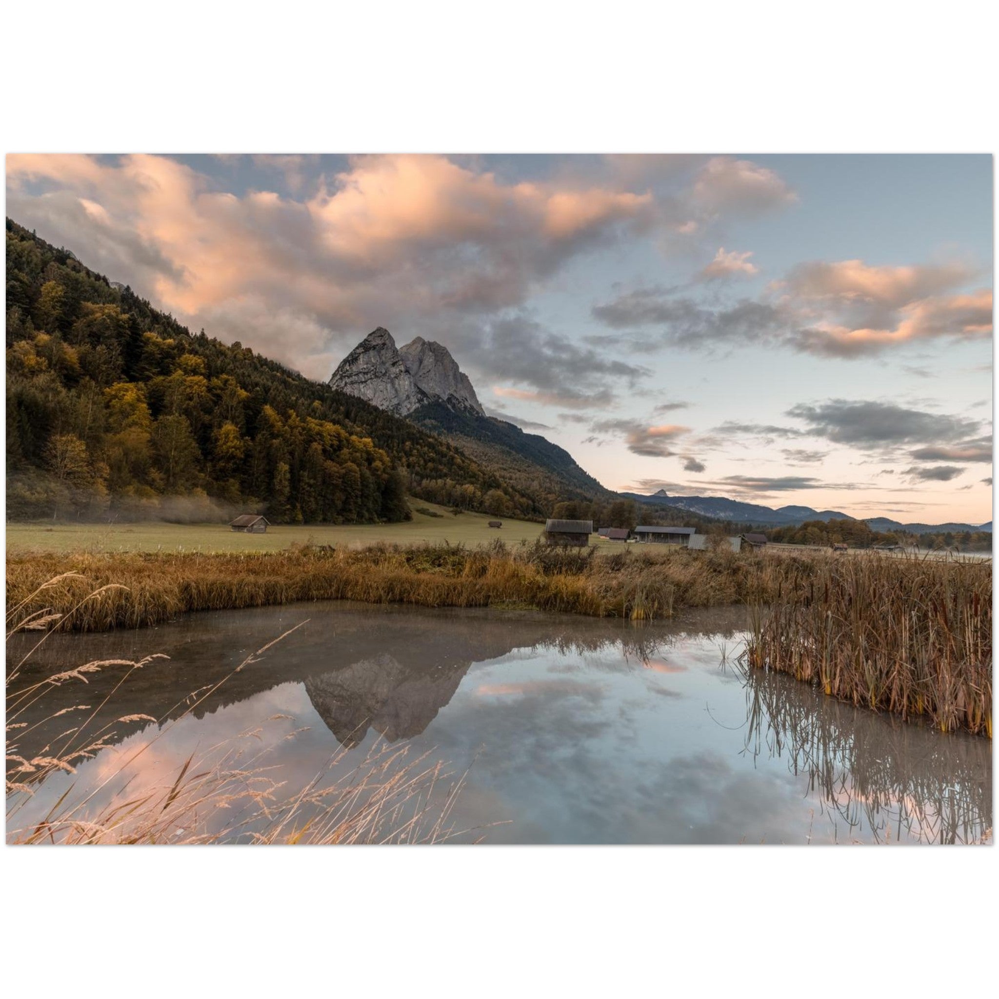 Stimmungsvolle Landschaftsaufnahme aus dem Werdenfelser Land mit ruhigem Wasser im Vordergrund, goldenem Schilf und der Spiegelung der Berge im Abendlicht. Über den herbstlichen Wäldern leuchten weiche rosa Wolken am Himmel und schaffen eine ruhige Alpenstimmung bei Garmisch-Partenkirchen.