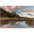 Stimmungsvolle Landschaftsaufnahme aus dem Werdenfelser Land mit ruhigem Wasser im Vordergrund, goldenem Schilf und der Spiegelung der Berge im Abendlicht. Über den herbstlichen Wäldern leuchten weiche rosa Wolken am Himmel und schaffen eine ruhige Alpenstimmung bei Garmisch-Partenkirchen.