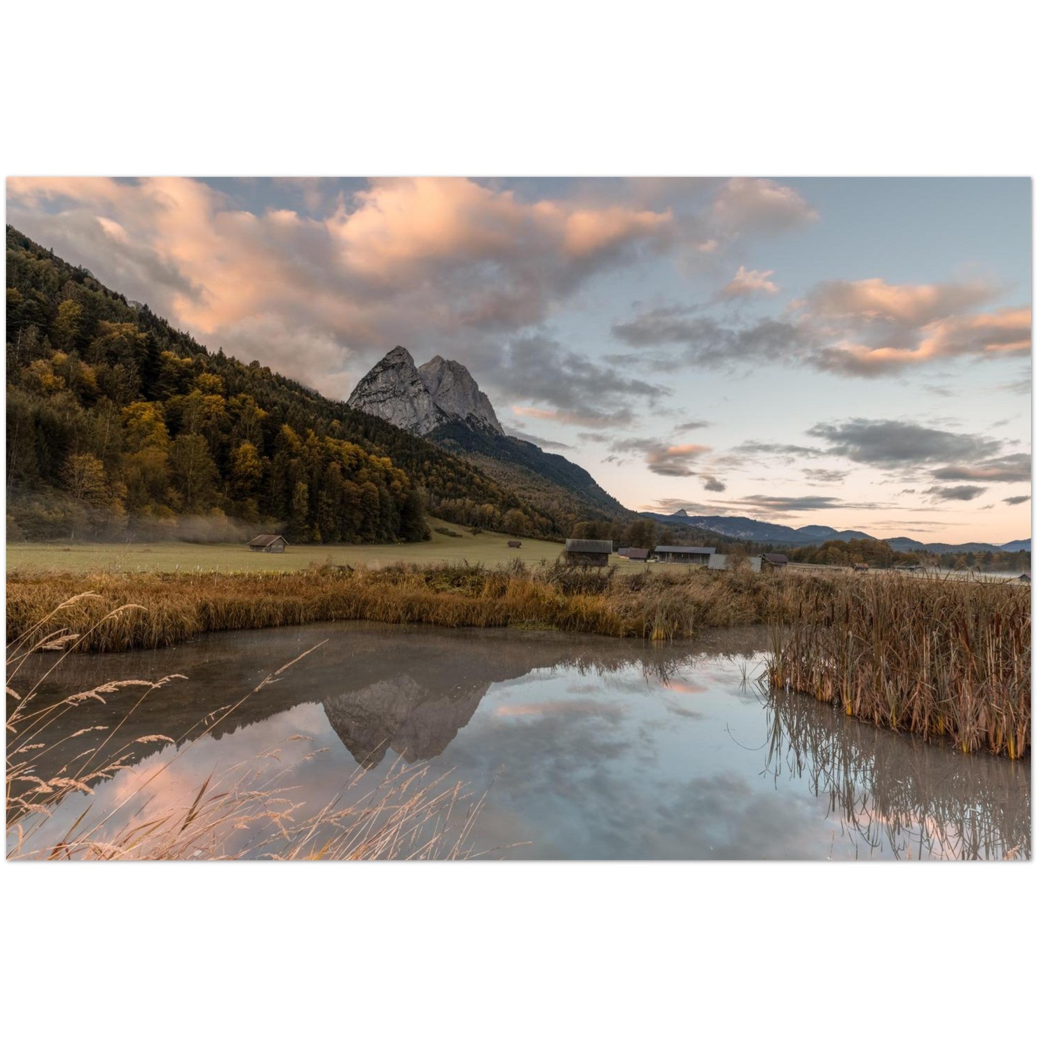 Stimmungsvolle Landschaftsaufnahme aus dem Werdenfelser Land mit ruhigem Wasser im Vordergrund, goldenem Schilf und der Spiegelung der Berge im Abendlicht. Über den herbstlichen Wäldern leuchten weiche rosa Wolken am Himmel und schaffen eine ruhige Alpenstimmung bei Garmisch-Partenkirchen.