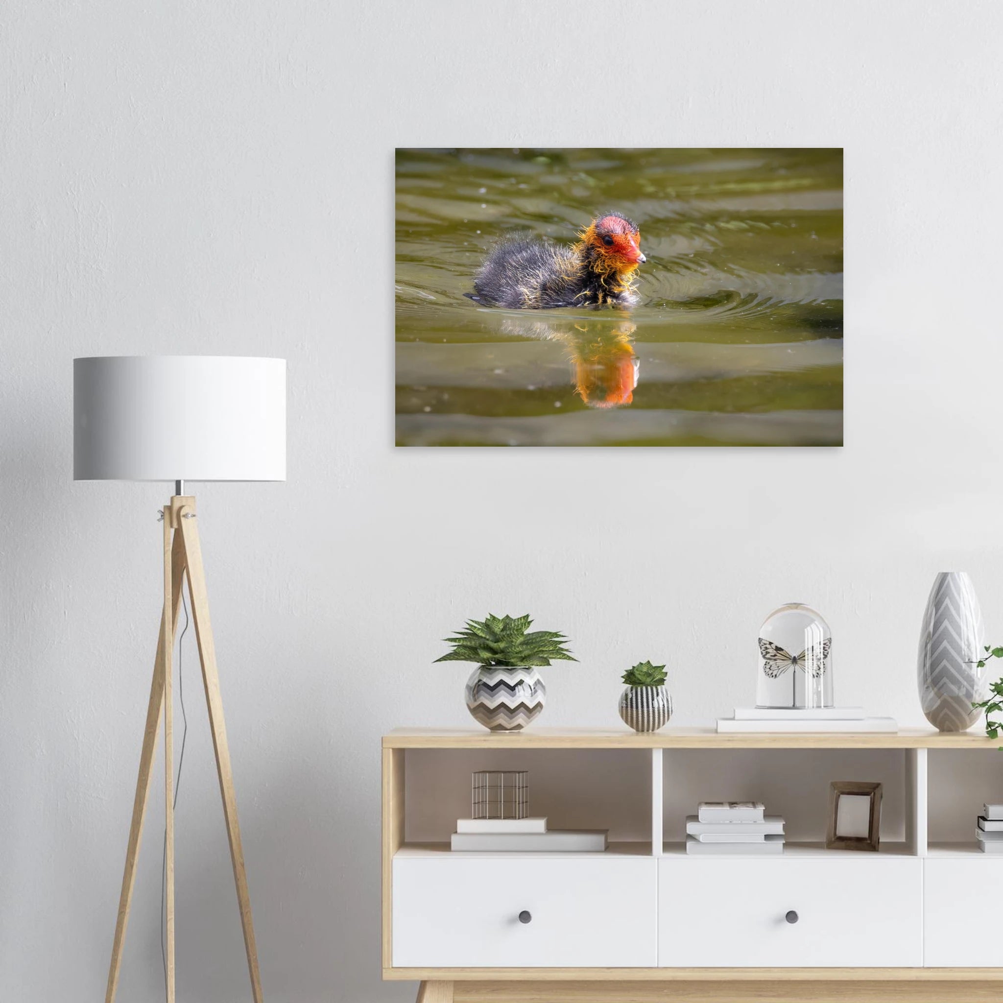 Horizontales Poster mit einer detailreichen Naturfotografie eines jungen Blässhuhn-Kükens, das durch grün schimmerndes Wasser schwimmt. Das flauschige dunkle Gefieder und der leuchtend rote-orange Kopf heben sich eindrucksvoll vom ruhigen Wasser ab, darunter ist die zarte Spiegelung des Kükens zu erkennen.
