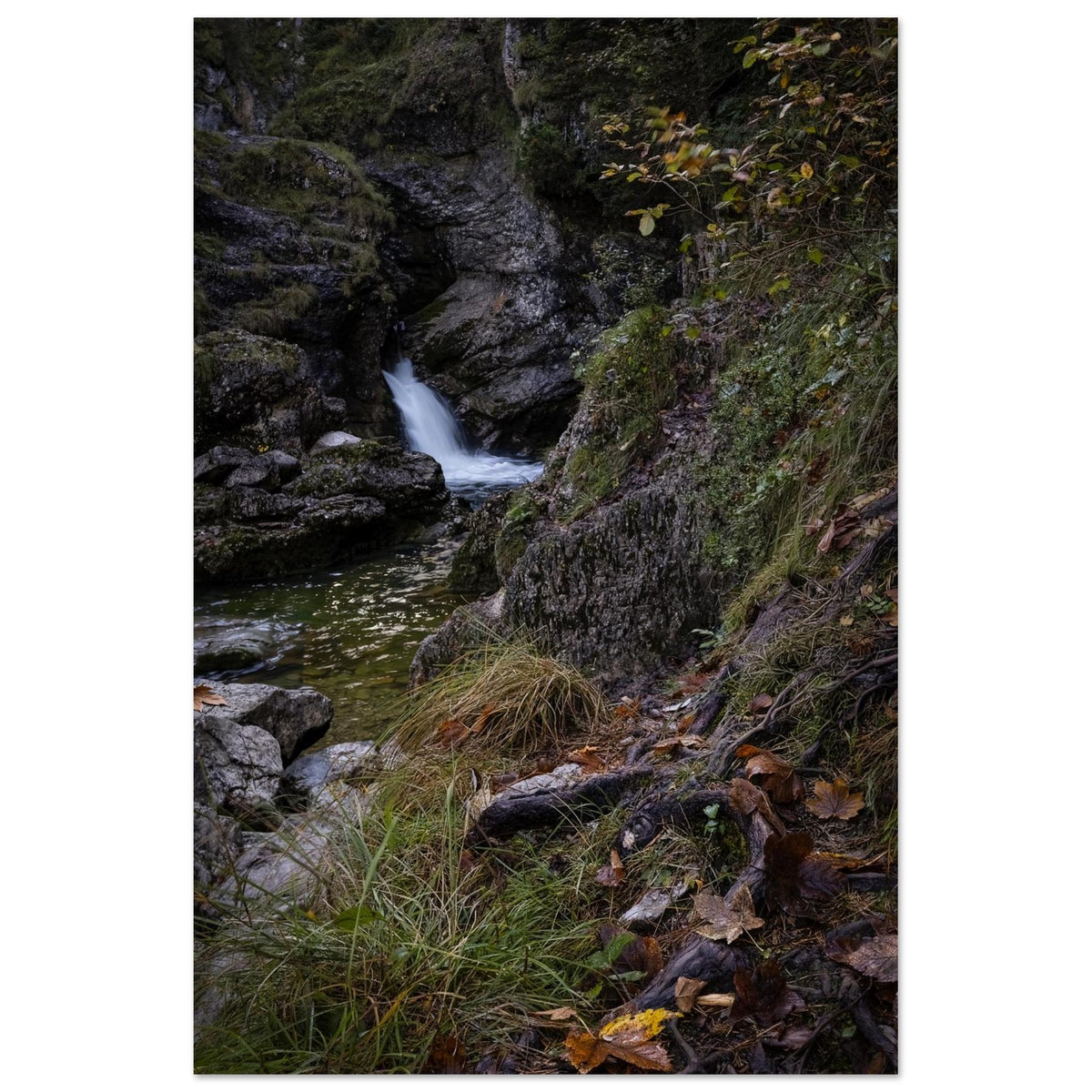 Kleiner Wasserfall der Kuhfluchtwasserfälle in Farchant, Oberbayern. Das Wasser fließt zwischen moosbewachsenen Felsen in ein klares Bachbecken, umgeben von Wurzeln, Gräsern und herbstlichem Laub.