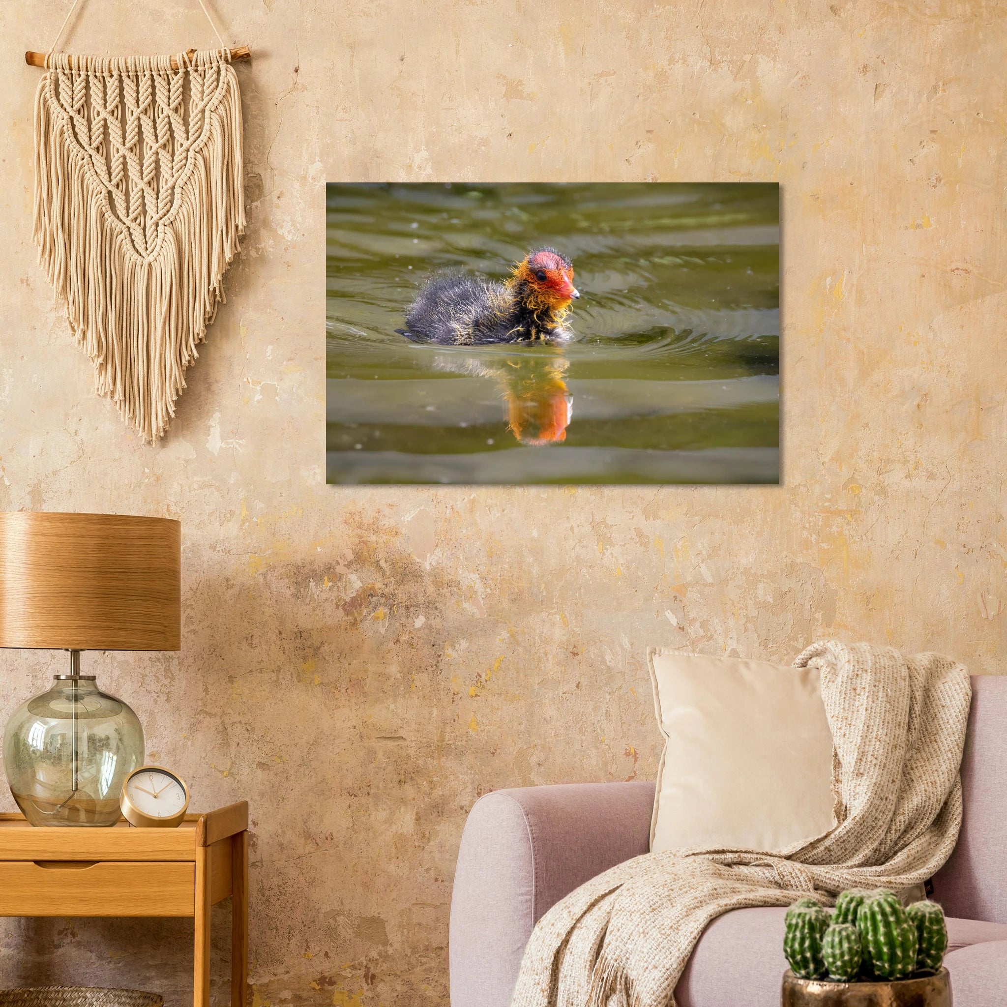 Horizontales Poster mit einer detailreichen Naturfotografie eines jungen Blässhuhn-Kükens, das durch grün schimmerndes Wasser schwimmt. Das flauschige dunkle Gefieder und der leuchtend rote-orange Kopf heben sich eindrucksvoll vom ruhigen Wasser ab, darunter ist die zarte Spiegelung des Kükens zu erkennen.