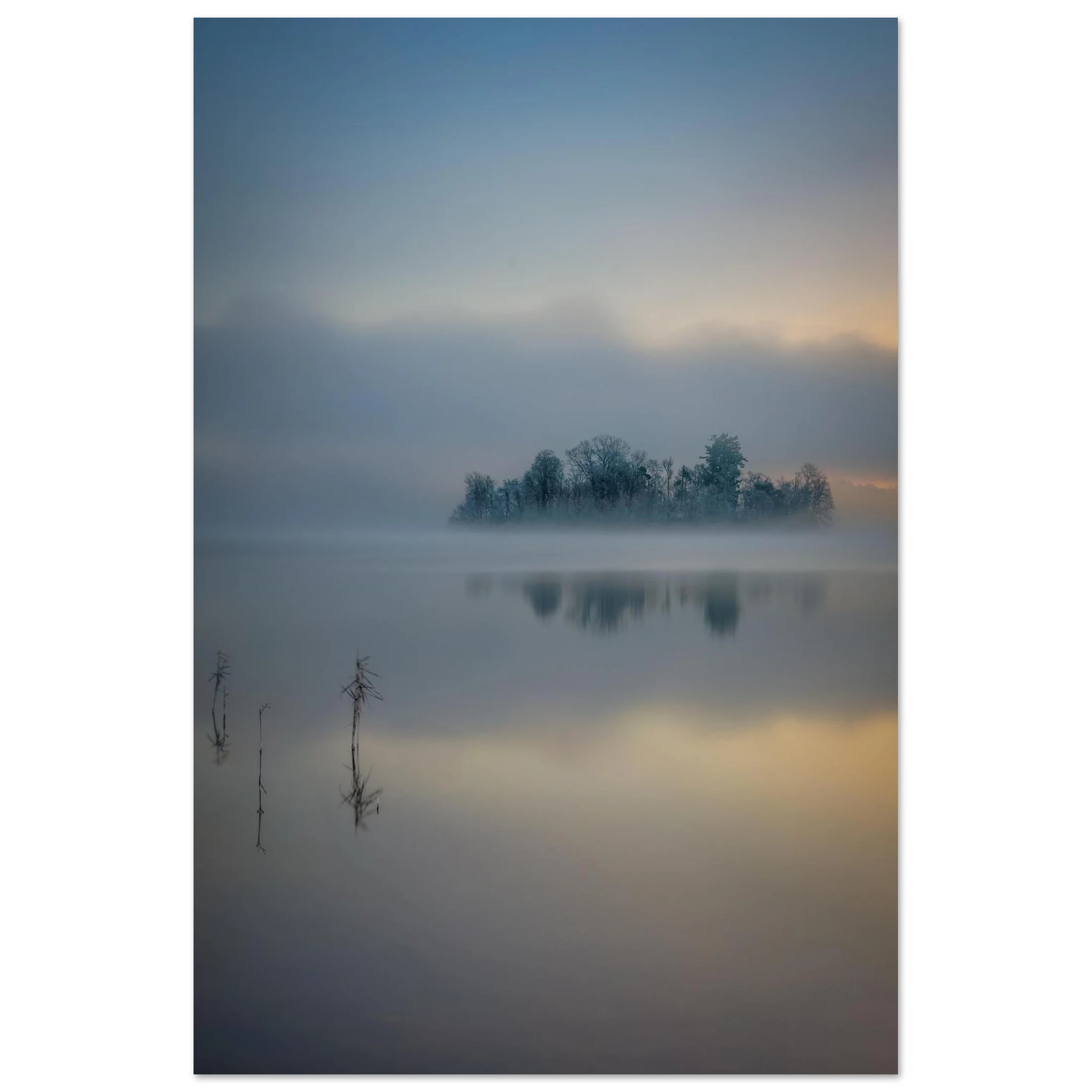 Vertikales Staffelsee Poster mit nebelverhüllter Bauminsel, ruhiger Wasserspiegelung und sanftem Sonnenaufgang in Oberbayern.
